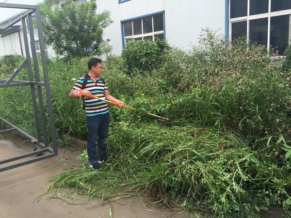 皇冠app手机投注下载