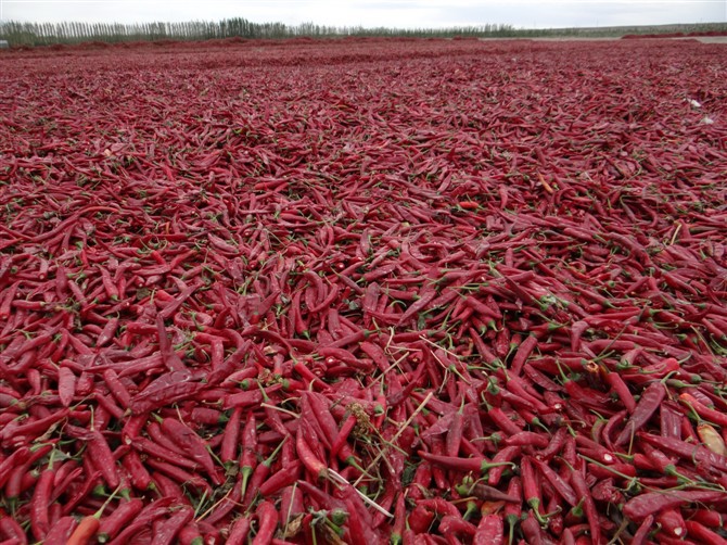 1511247631218888.jpg 1511247631218888.jpg