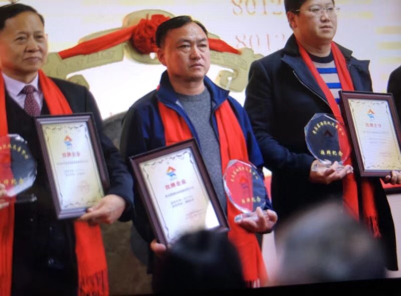 璐璐公司上市 璐璐公司上市