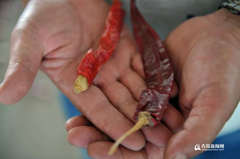 1560909456118437.jpg 3.jpg