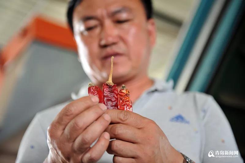 1560909542522846.jpg 4.jpg