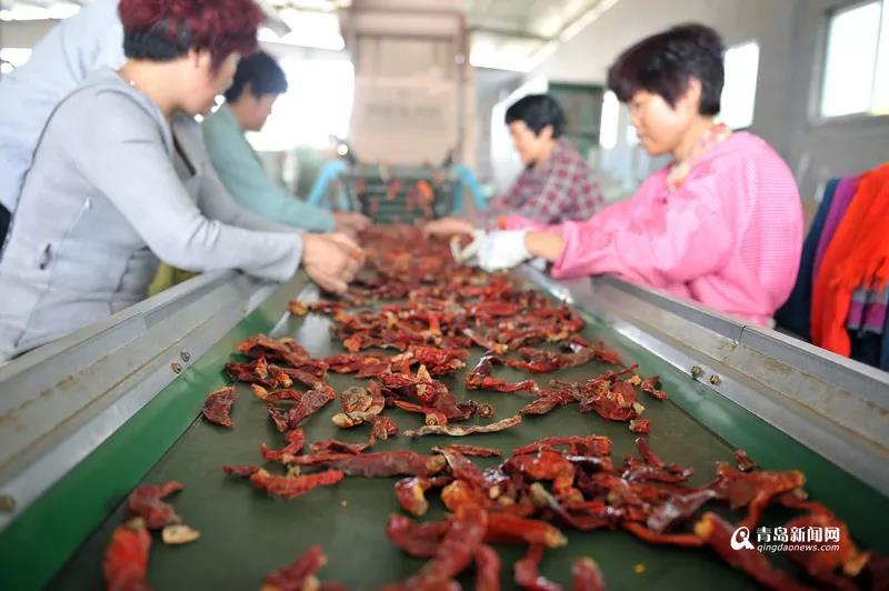 1560909650186099.jpg 5.jpg