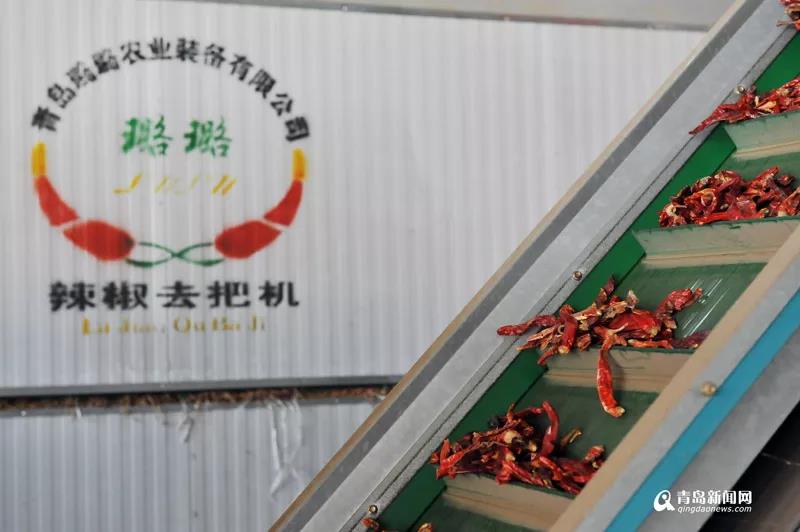 1560909706372252.jpg 6.jpg