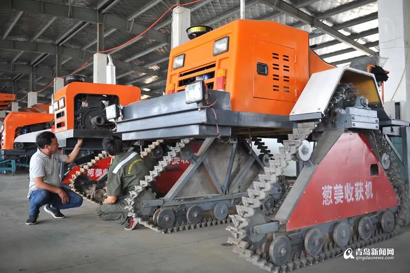 1560909805285679.jpg 8.jpg