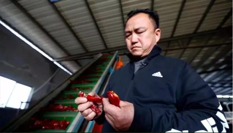 1560991645601681.jpg 2.jpg