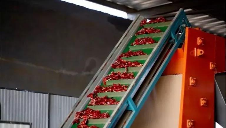 1560991890923096.jpg 4.jpg