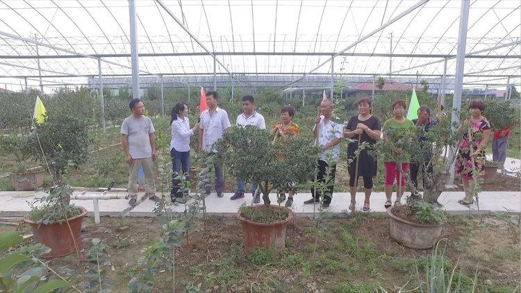 1561080545374671.jpg 8.jpg