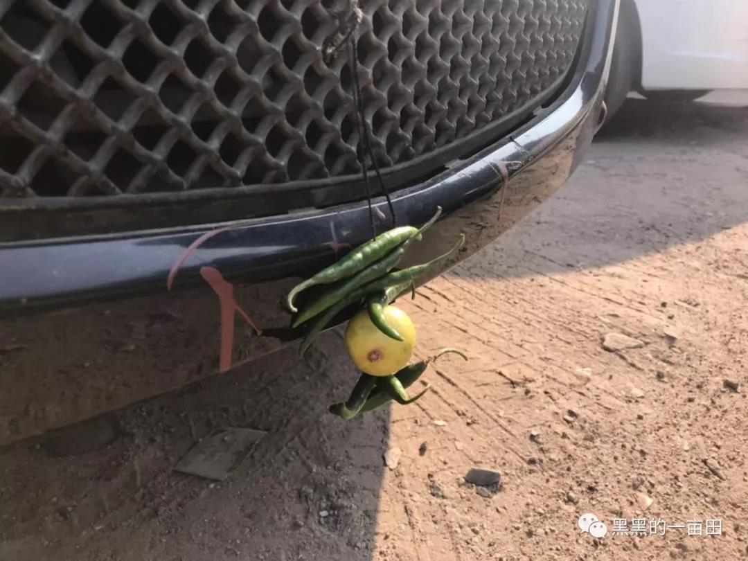 1561166743829975.jpg 4.jpg