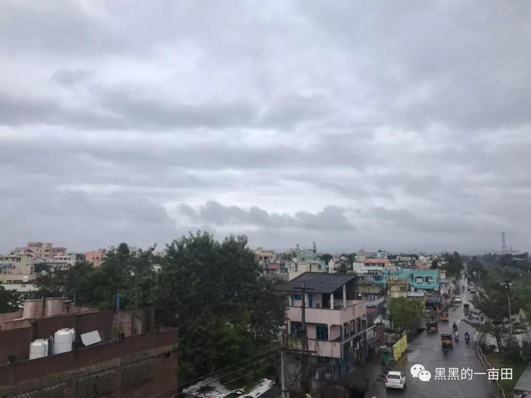 1561166950383010.jpg 11.jpg