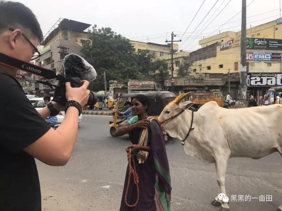 1561166979415235.jpg 14.jpg