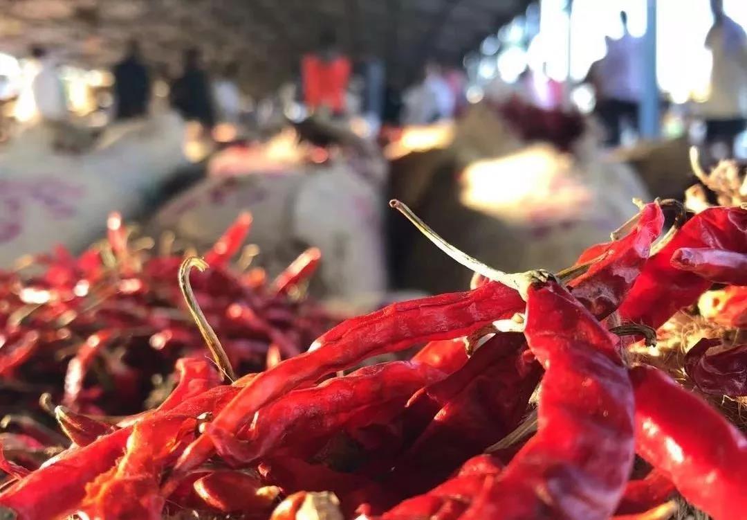 1561167597385067.jpg 30.jpg