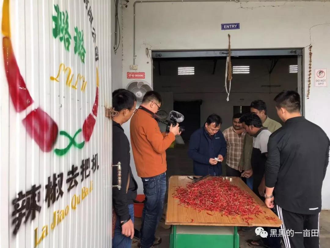 1561167939762198.jpg 38.jpg