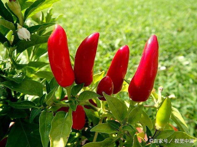 1561340568883988.jpeg 3.jpeg