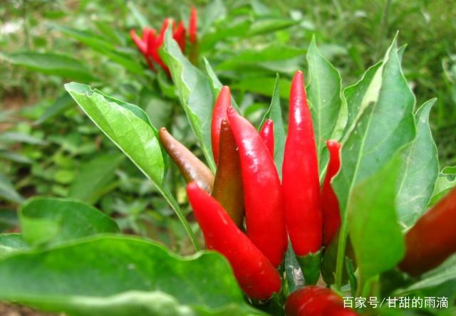 1561428736949457.jpg 5.jpg