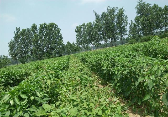 1561428851773595.jpg 7.jpg