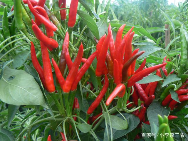 1561684450798178.jpeg 1.jpeg