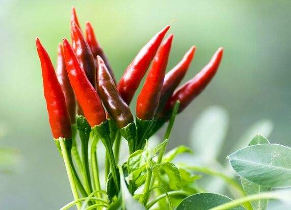 1561788274181092.jpg timg.jpg