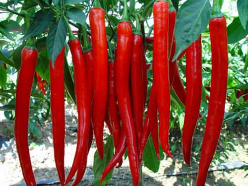 1561788305836020.jpg u=4250614304,1684918810&fm=26&gp=0.jpg