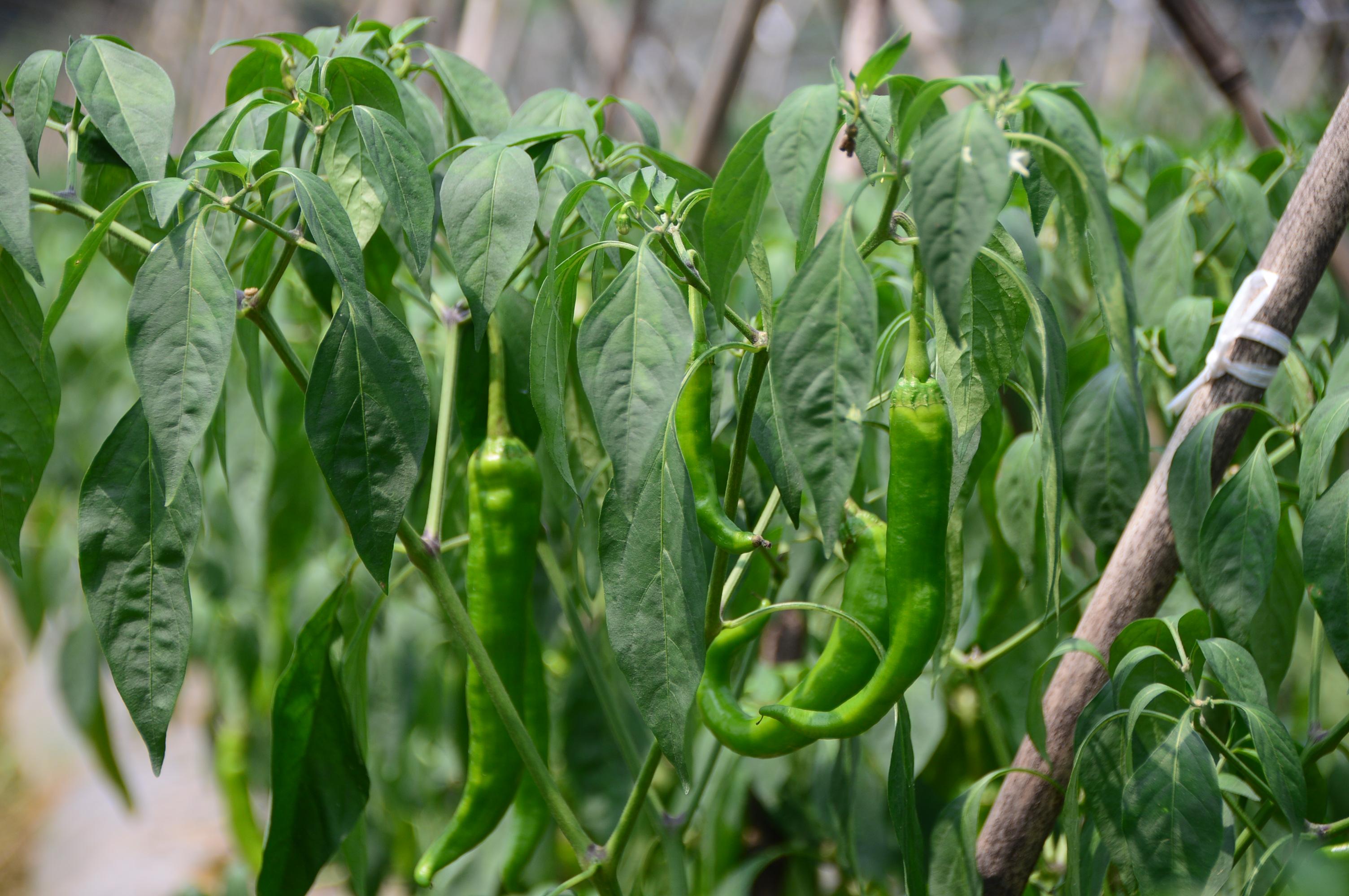 1562114474102461.jpg 2.jpg