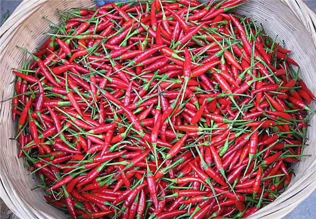 1562288774473472.jpg 1.jpg