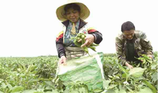 1564024287461323.jpg 701.jpg