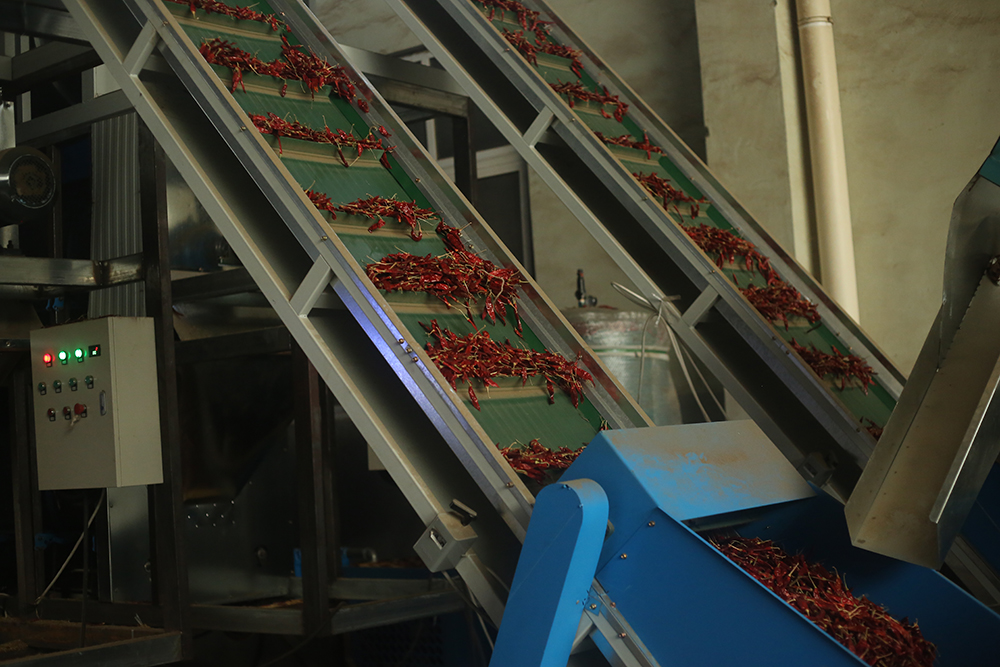 1571105493123668.jpg MI1A0031.jpg