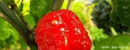 1571194766824324.jpg t01a831623920ae24f1.jpg