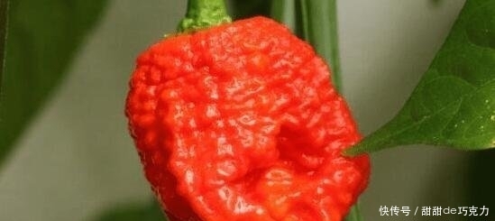 1571194843781194.jpg t018782e7e8cc28874e.jpg