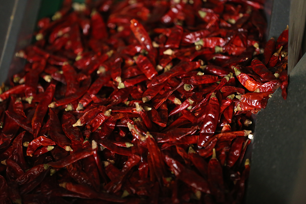 1571450250187897.jpg MI1A0070.jpg