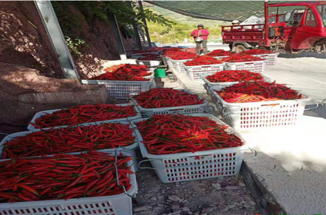 1573699437429547.png image.png