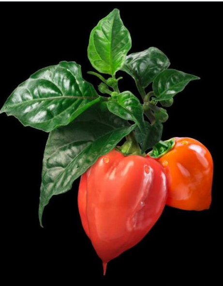 1576560563313472.png image.png